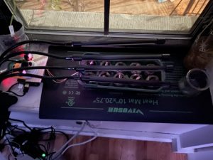 Side view of my time lapse setup. To the left is the Raspberry Pi (you’ll notice my two USB cables–keyboard and mouse–have been loosened.) On top of it sits a no IR camera that is transmitting IR (which can be seen on this long exposure photo.) Underneath the seedling tray with the 10 Titan sunflower seeds planted in compressed peat is a heating mat that should keep a temperature around 72ºF, helping them grow quickly. Above are 4 LED grow lights on a 9 hour/day timer. Titan sunflowers grow to be around 10 feet tall and should make for great subjects for a week-long time lapse.