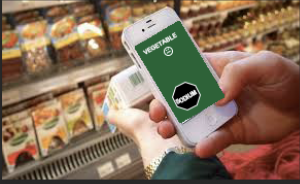 Mock up of Food Filter App in action. Here a user is scanning a prepared vegetable dish that’s high in sodium.