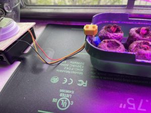 A picture of my mini bread board with DHT11 attached. To the left is the Raspberry Pi with my balsa wood-medicine bottle cap-sticky note stand holding the no IR camera.
