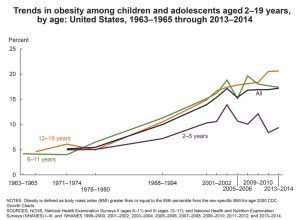Trends in Overweight and Obesity among Youth in the US chart between 1963 and 2014. [Source: NIH/NIDDK – https://www.niddk.nih.gov/health-information/health-statistics/overweight-obesity]